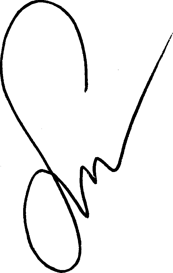 Srisunan Kongtragoolpitug Signature